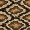 Snake Skins